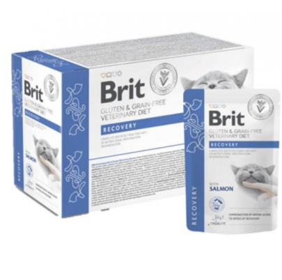 Brit VD Gluten & Grain-Free Cat Pouch Fillets in Gravy Recovery 12 x 85 g